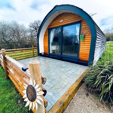 Beech Pod Cabin In Beautiful Surroundings Wrexham Bagian luar foto