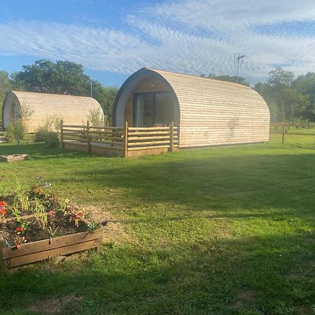 Beech Pod Cabin In Beautiful Surroundings Wrexham Bagian luar foto