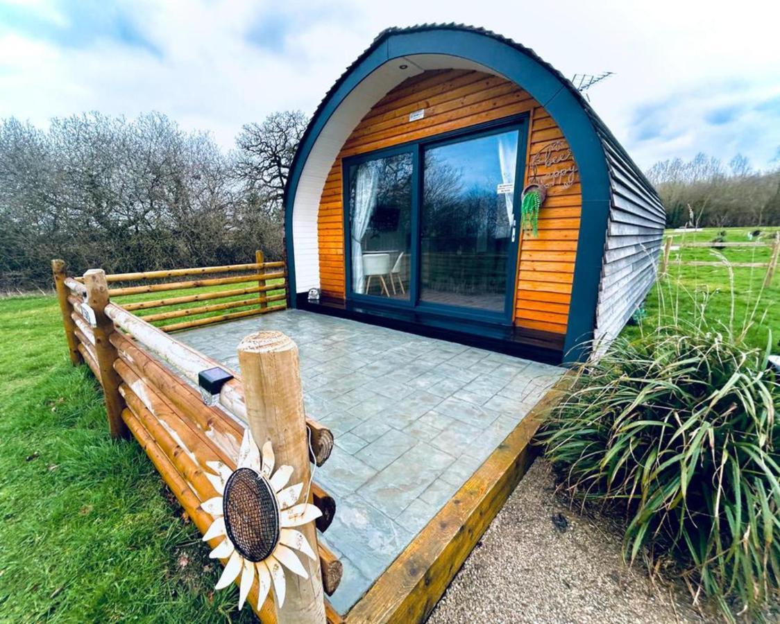 Beech Pod Cabin In Beautiful Surroundings Wrexham Bagian luar foto
